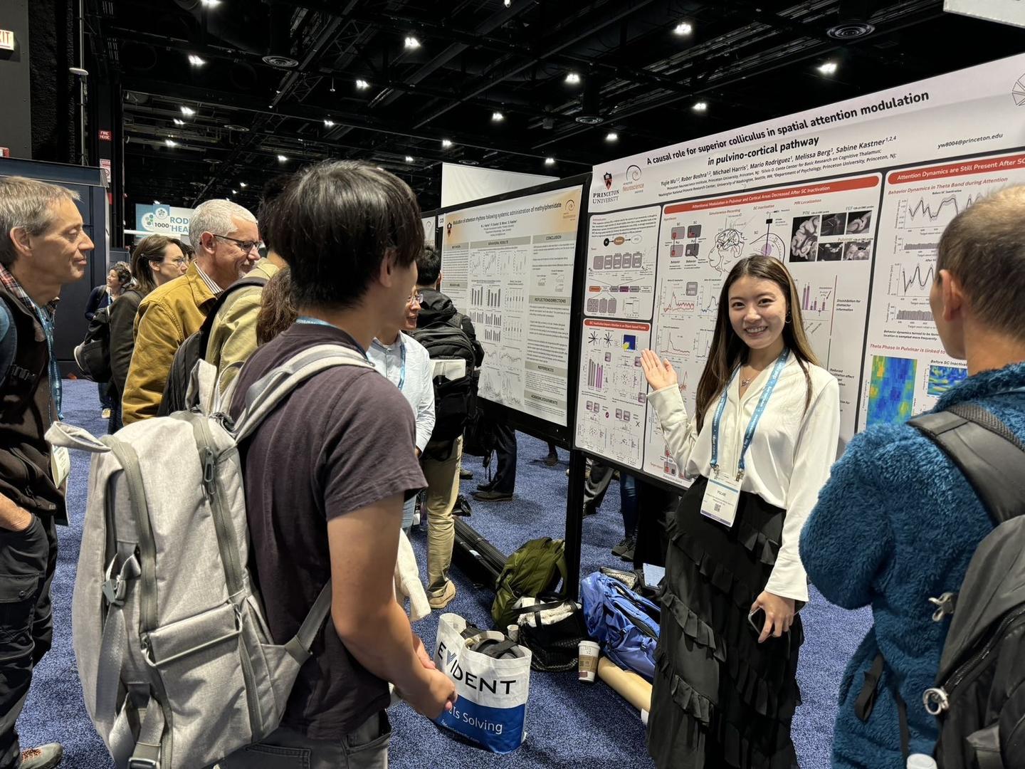 SfN 2024