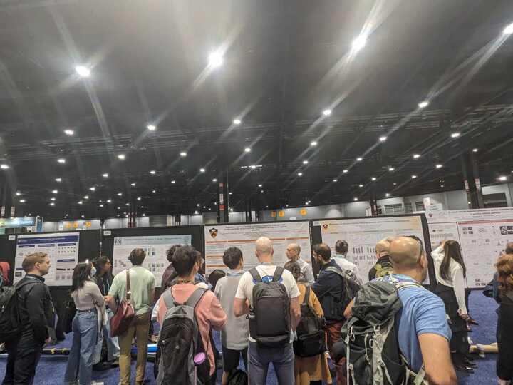 SfN 2024