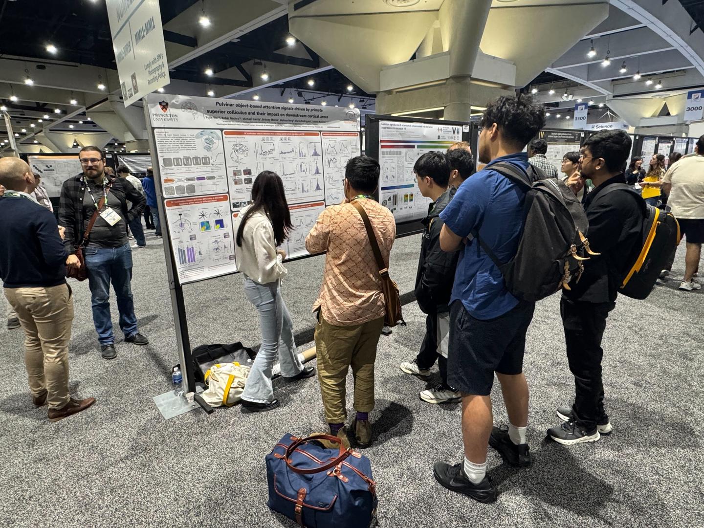SfN 2025